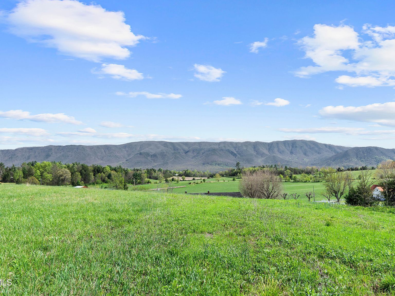 3 Red Hill Rd Greeneville, TN 37743  | Land/Lot