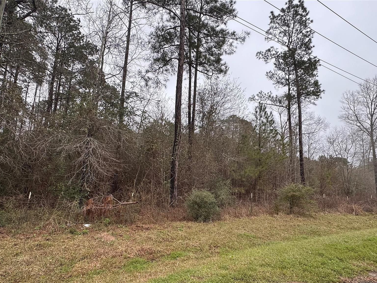 13 County Road 3479 Cleveland, TX 77327 - Thumbnail 2