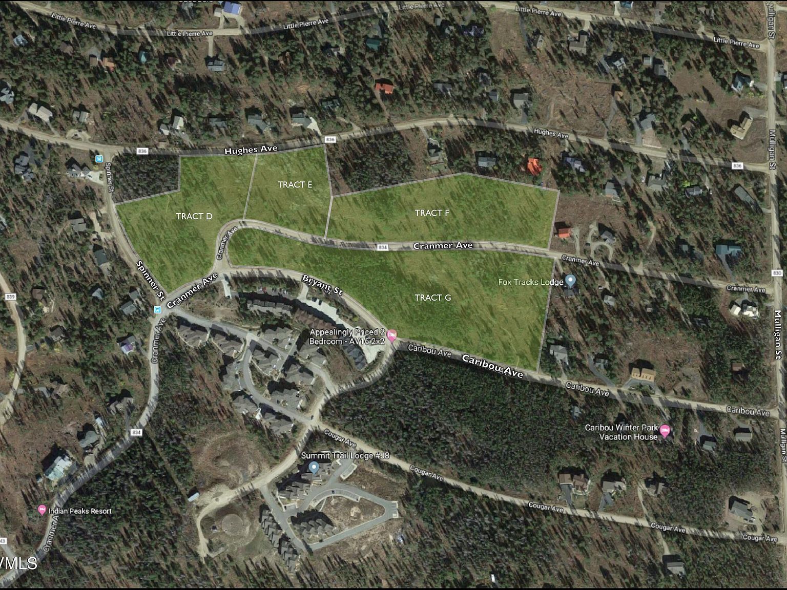 Cranmer Ave Fraser, CO 80442, 80442