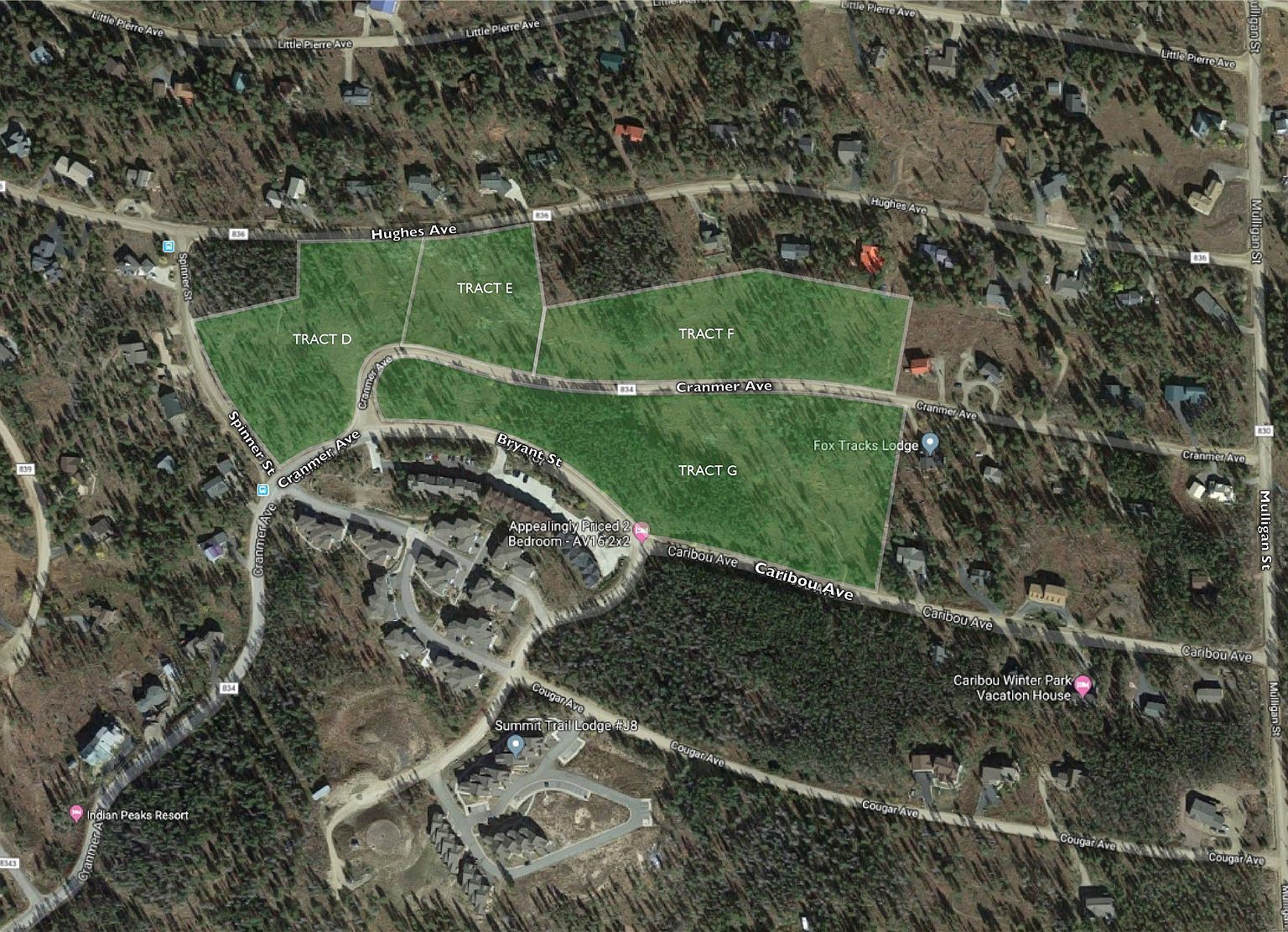 Cramner Fraser, CO 80442, 80442