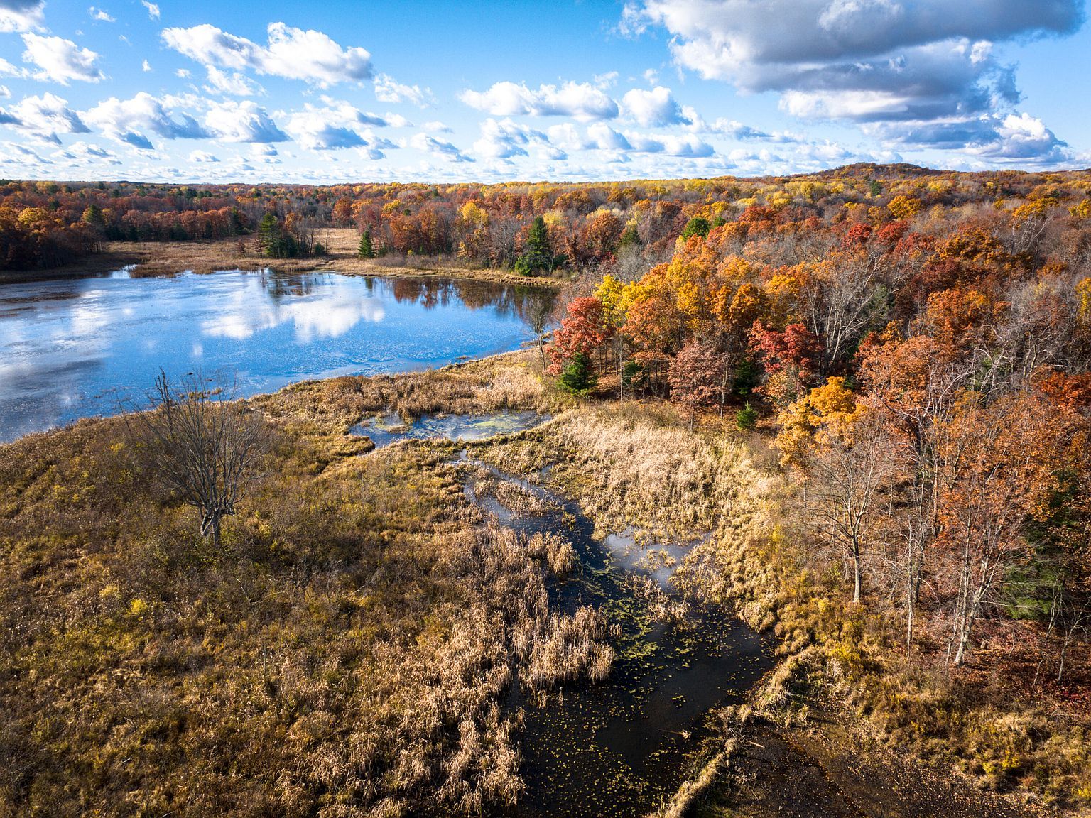 8686 E Three Mile Rd White Cloud, MI 49349 - Thumbnail 2