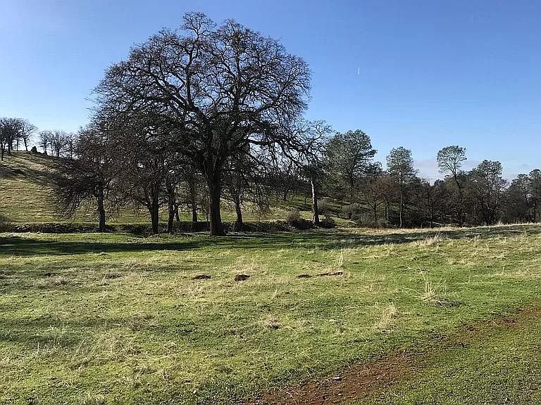Lanford Pacheco Rd Valley Springs, CA 95252  | Land/Lot
