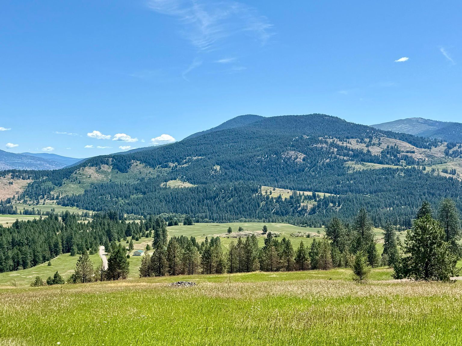 Perelandra Cir Lot 36 Danville, WA 99121, 99121