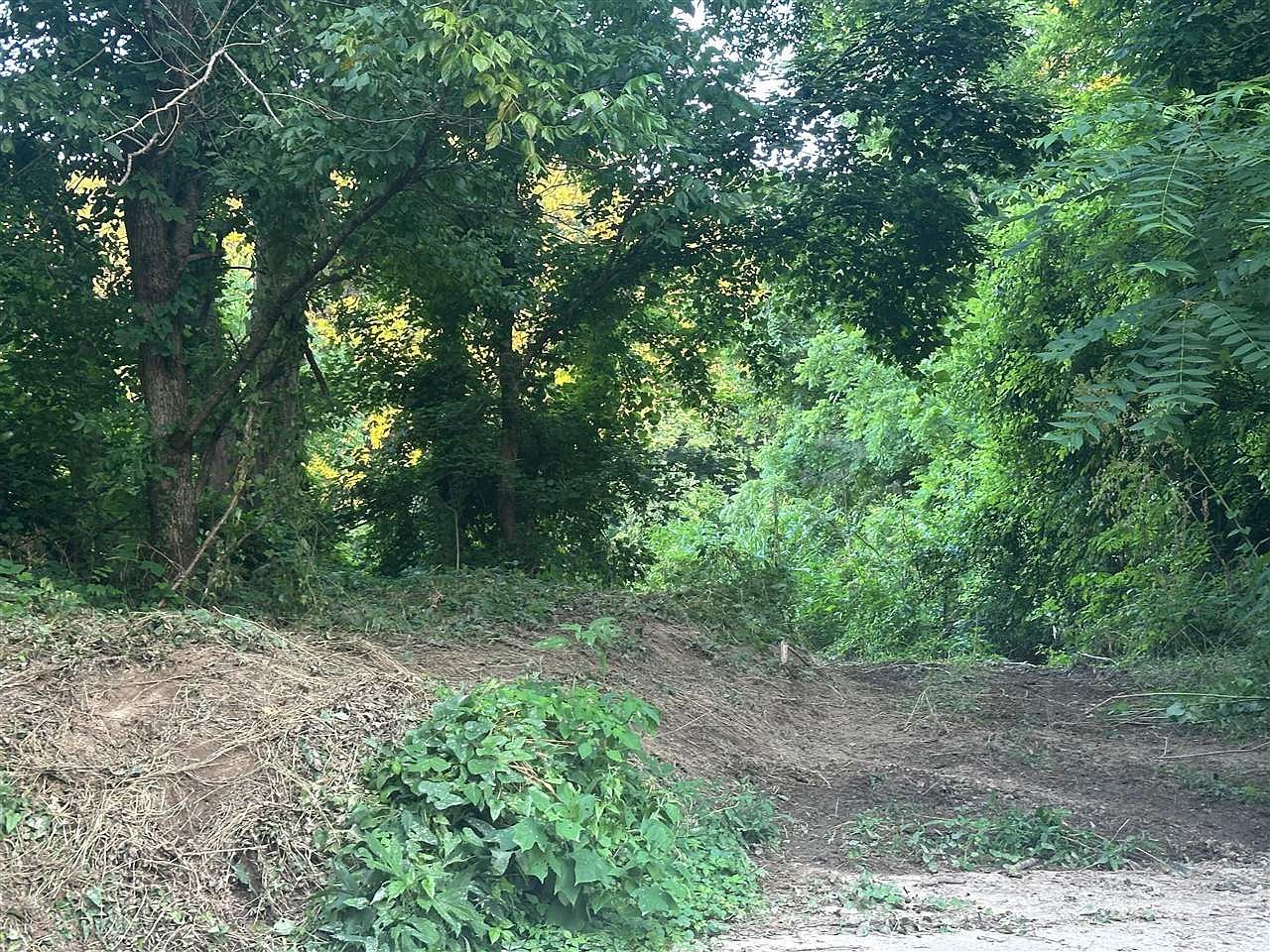 0 State Highway 49 Bradfordsville, KY 40009 - Thumbnail 2