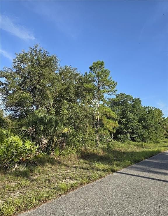 1304 Irving Ave Lehigh Acres, FL 33972 - Thumbnail 2