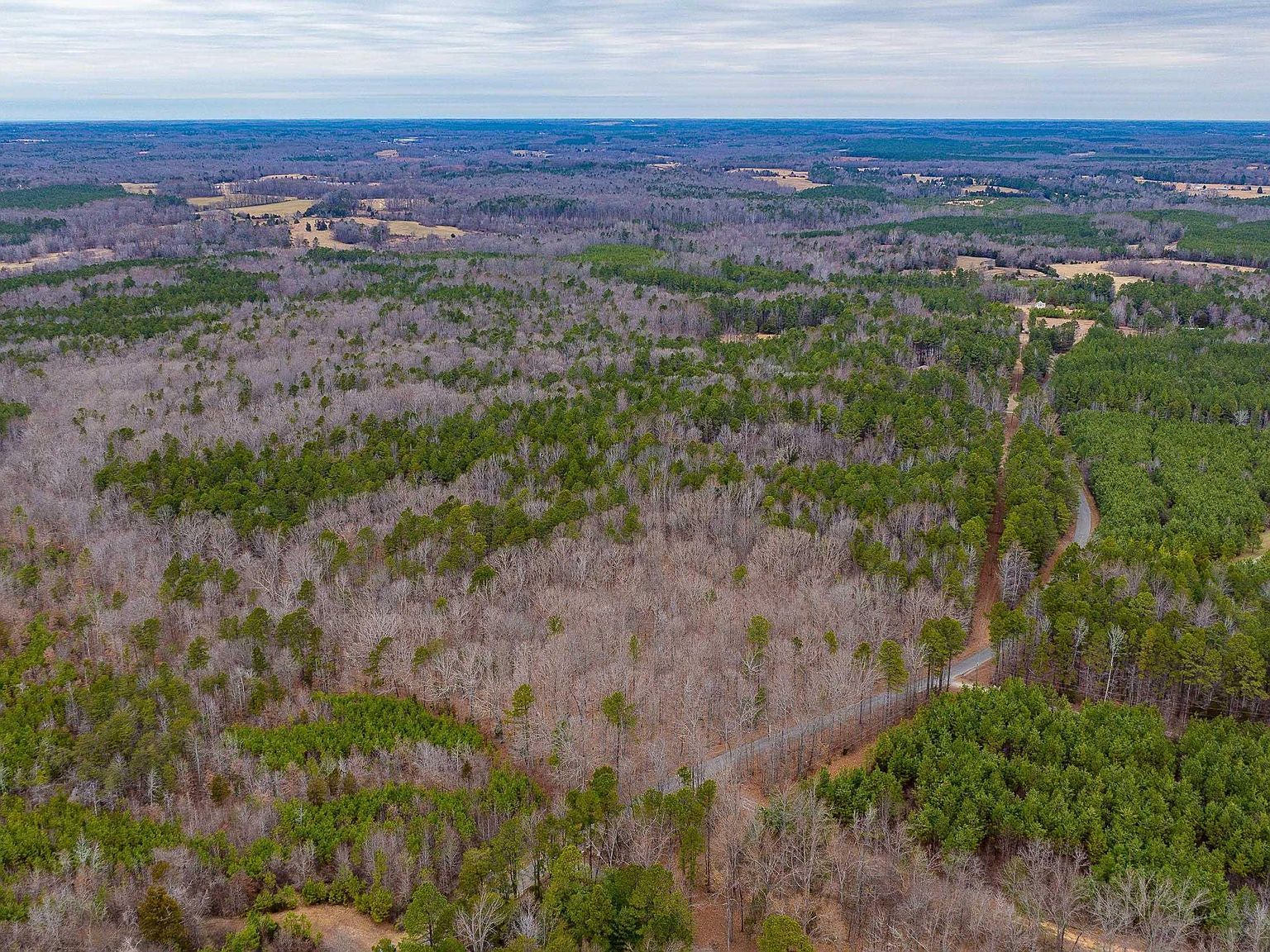 1 Piney Green Rd Crewe, VA 23930 - Thumbnail 2