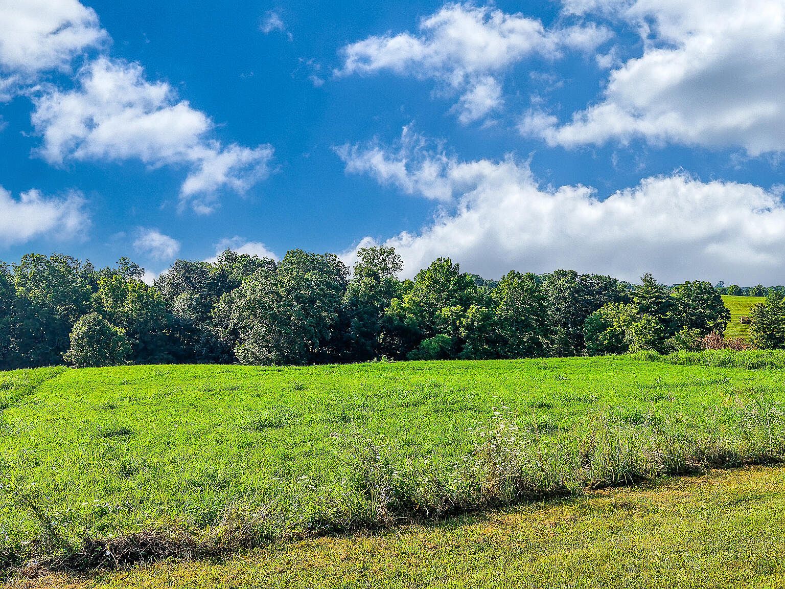 14 Evanwood Dr Owenton, KY 40359 - Thumbnail 2