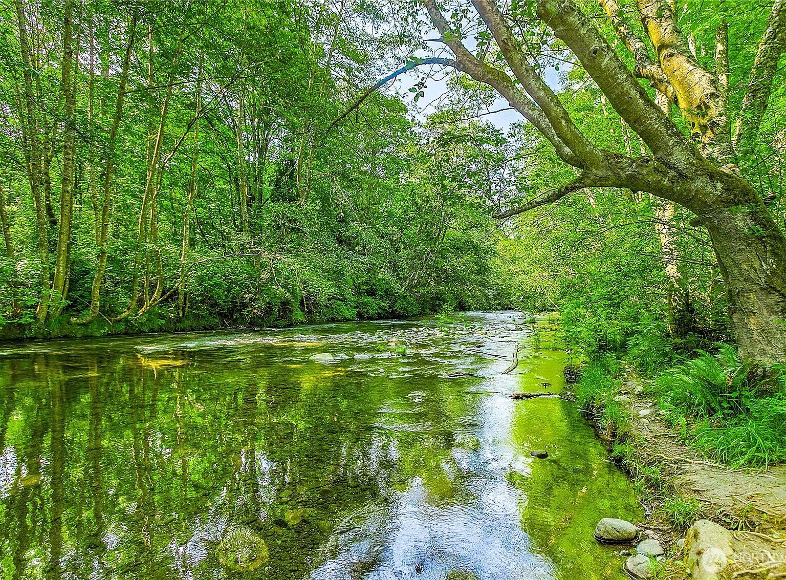 153 Strait View Dr Port Angeles, WA 98362 - Thumbnail 2