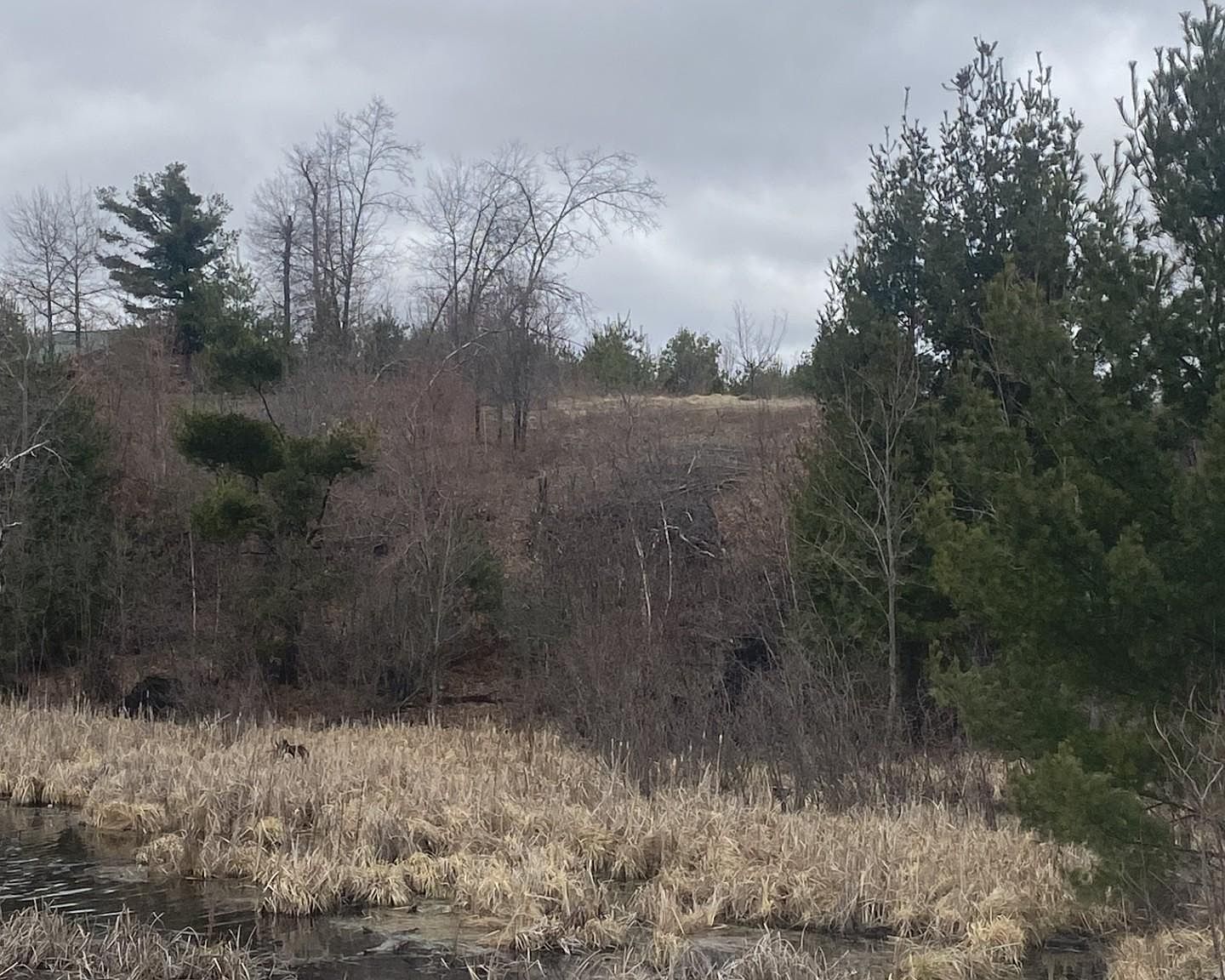 LOT 1 10 7/8 Ave Cameron, WI 54822 - Thumbnail 2