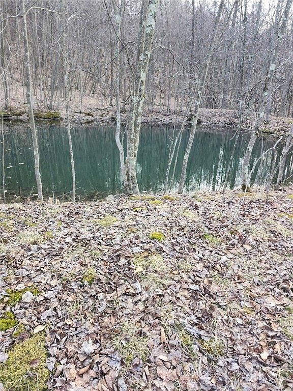 Along Saint Lawrence Rd Coalport, PA 16627 - Thumbnail 2