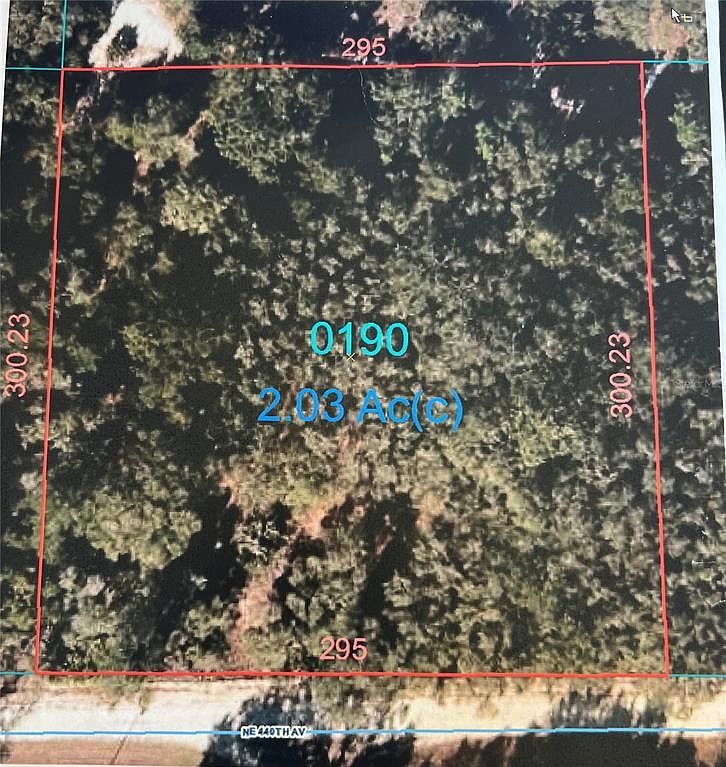 0 NE 440th Ave #19 Old Town, FL 32680  | Land/Lot