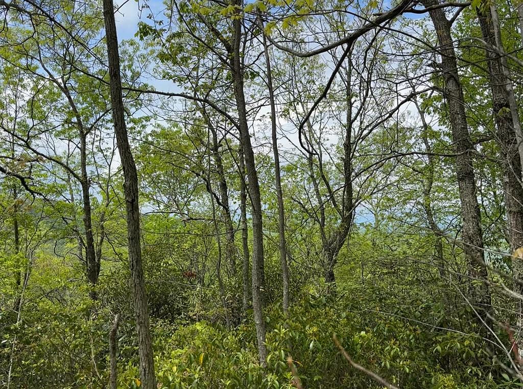 0 Cowee Mtn Bryson City, NC 28713  | Land/Lot