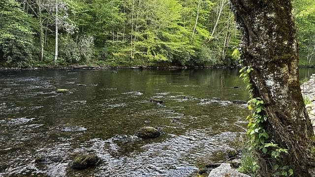 LOT 14 Mystic River Meadows Way Bryson City, NC 28713, 28713