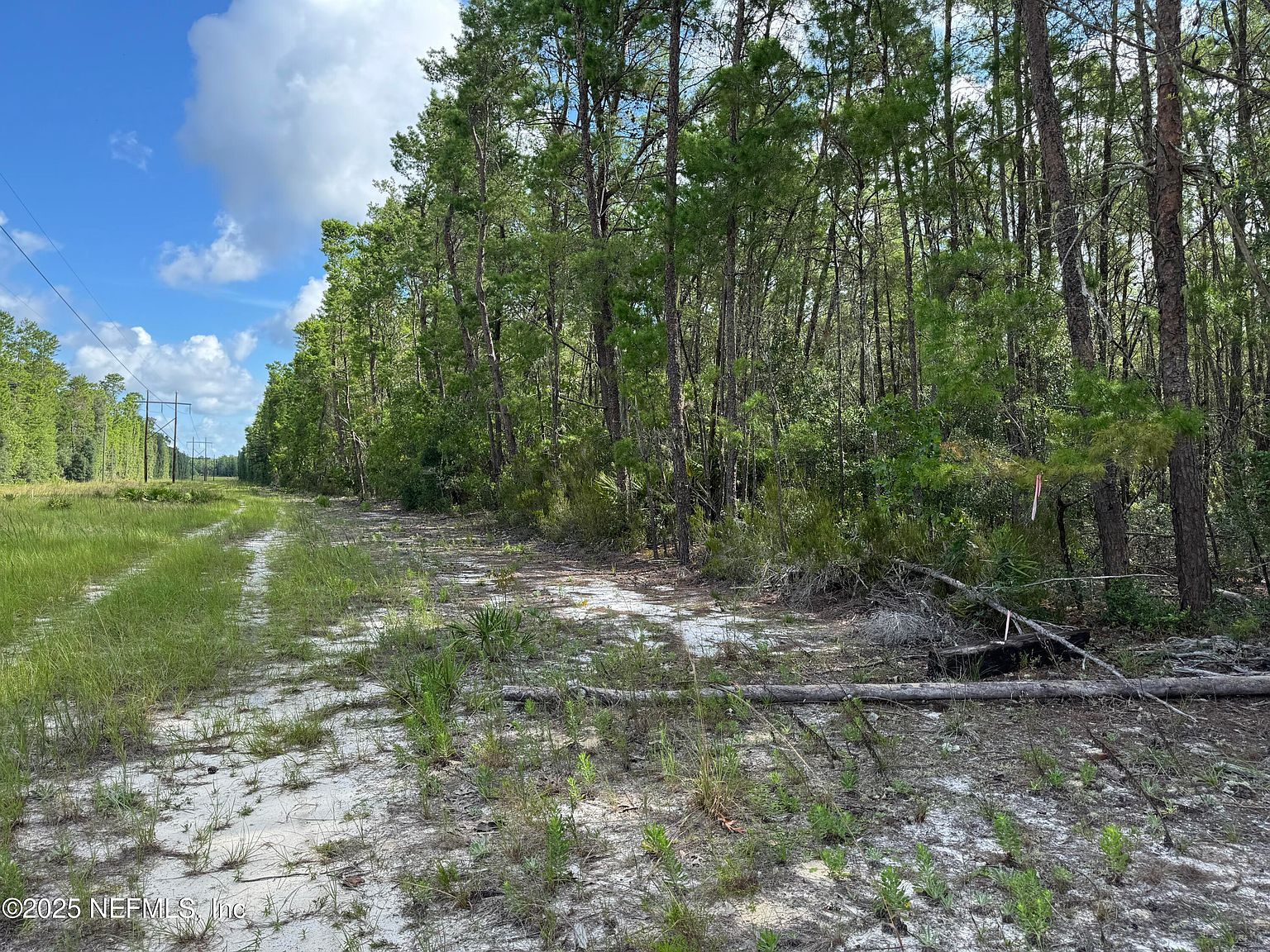 0 Hankley Lake Trl Hawthorne, FL 32640 - Thumbnail 2