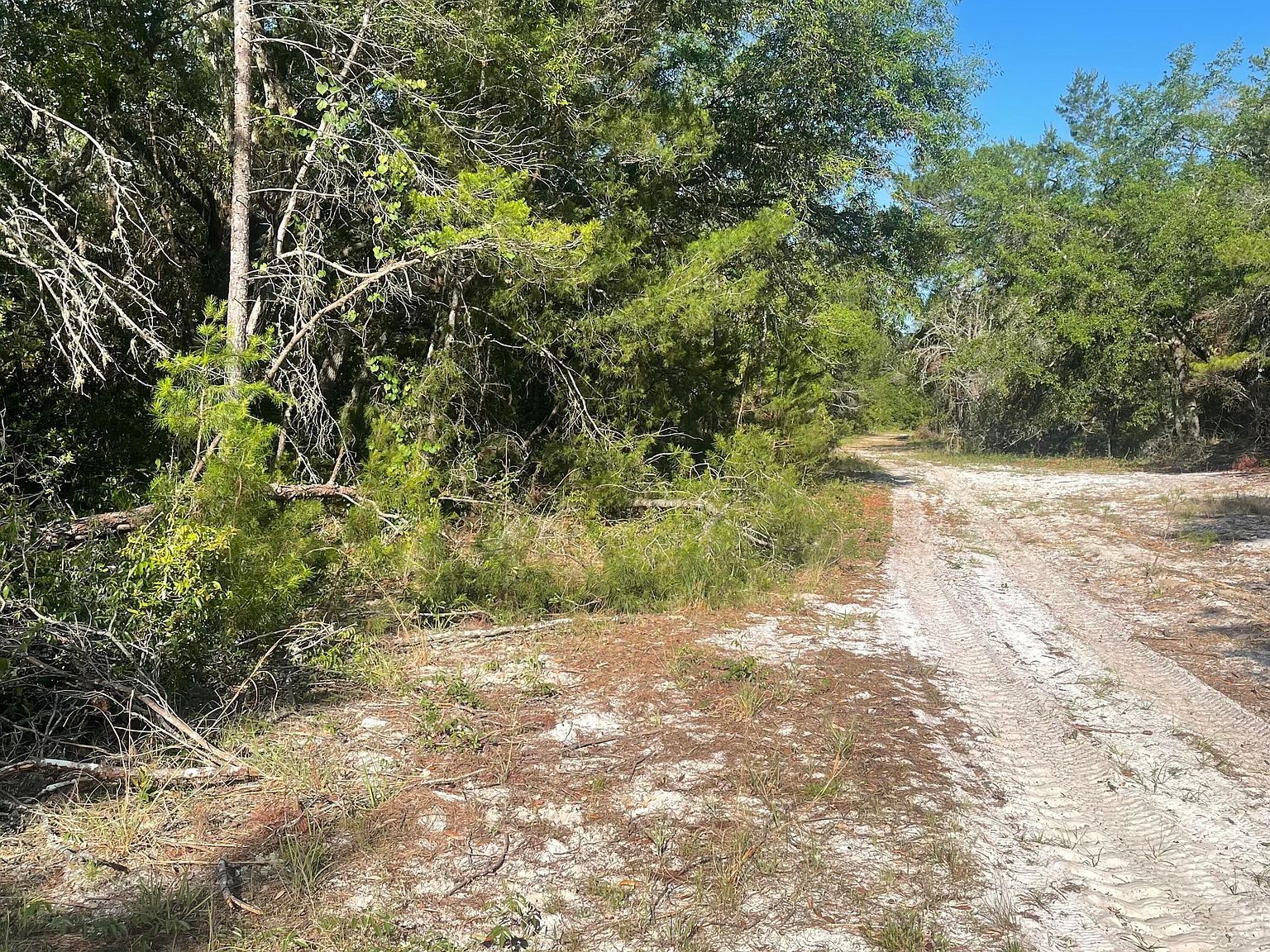 117 Waites Dr Florahome, FL 32140 - Thumbnail 2