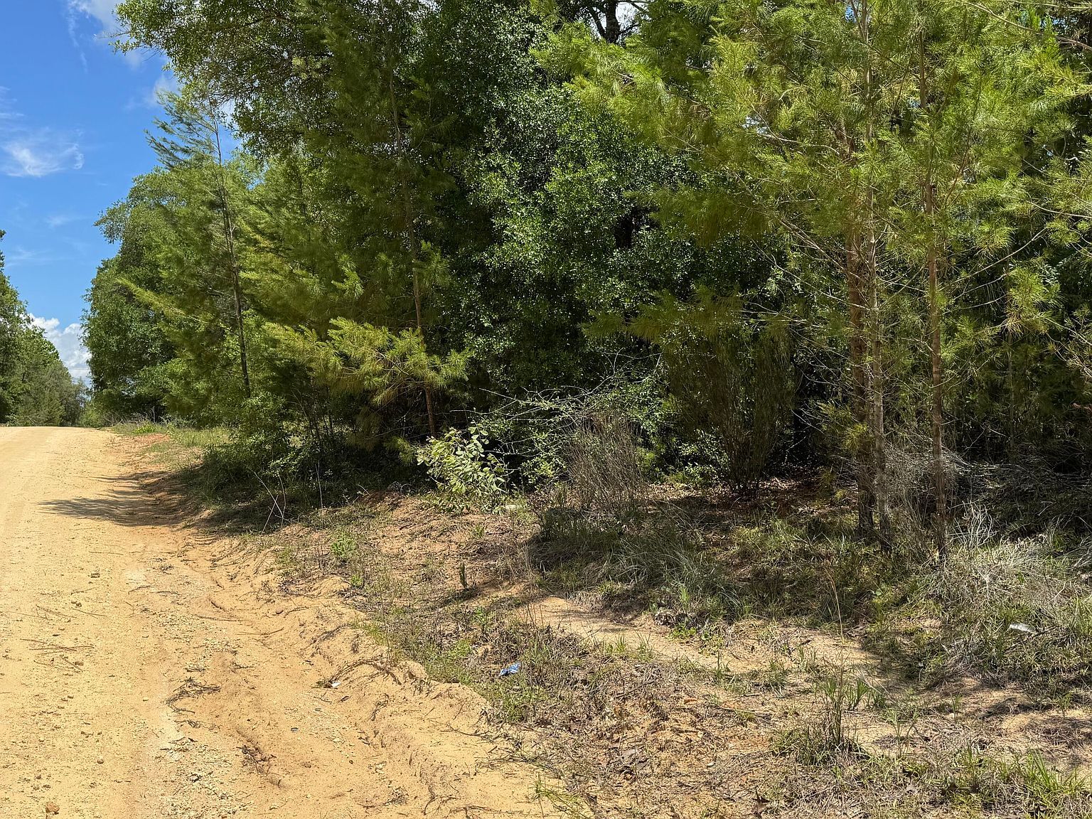 0 Cardinal St Interlachen, FL 32148 - Thumbnail 2