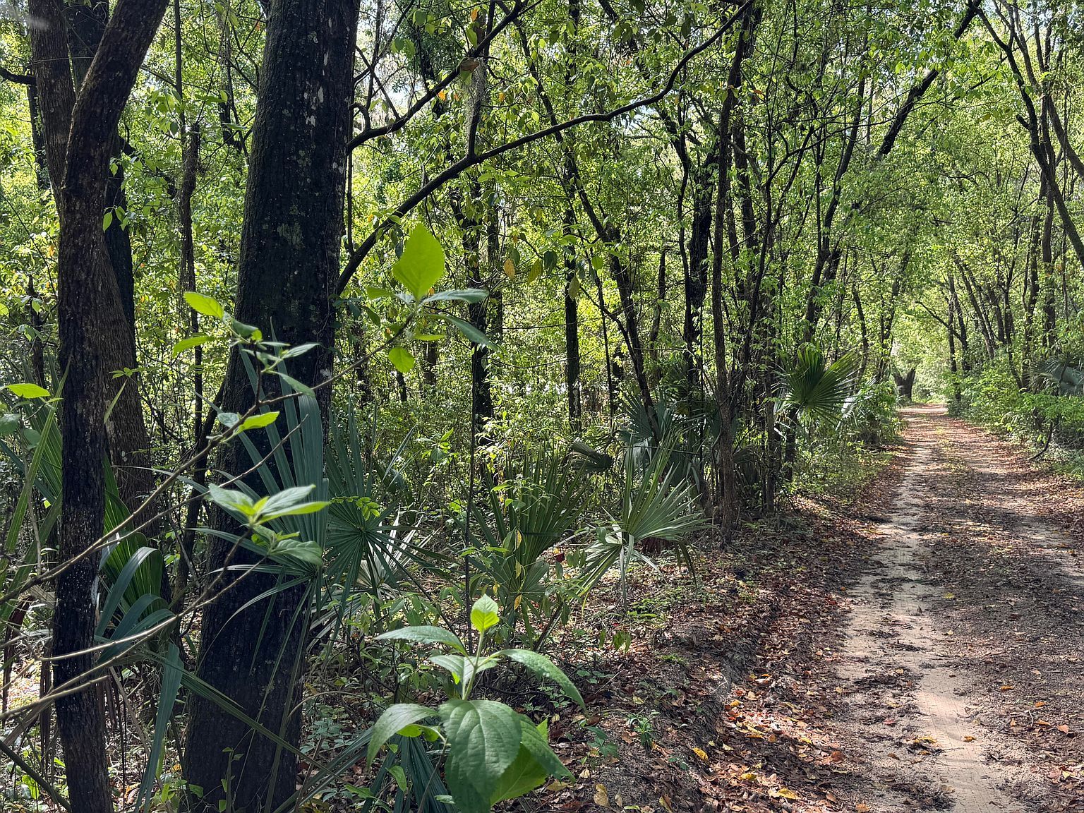 0 W Keuka Lake Rd Interlachen, FL 32148 - Thumbnail 2