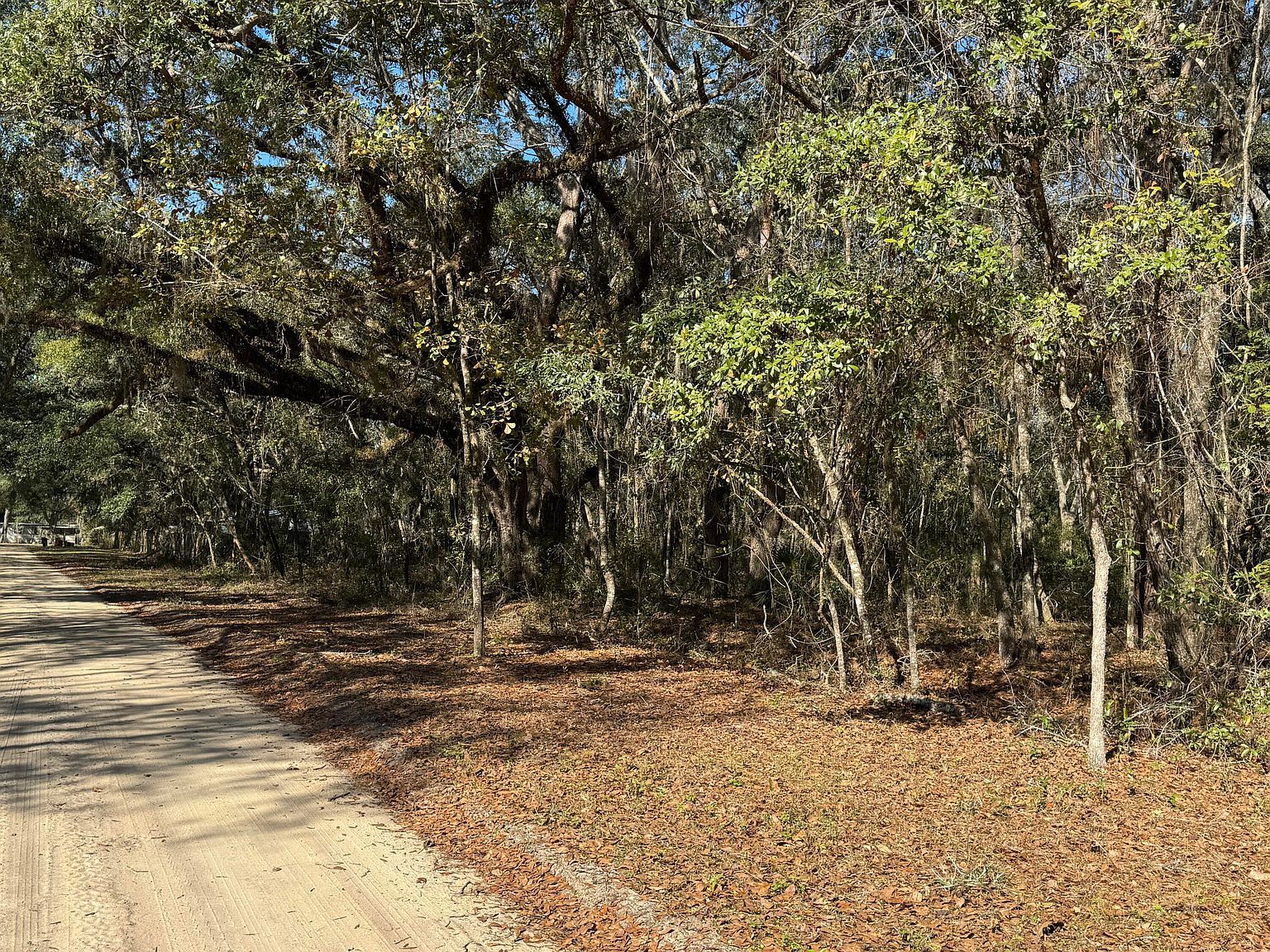 0 Chestnut Rd Hawthorne, FL 32640 - Thumbnail 2