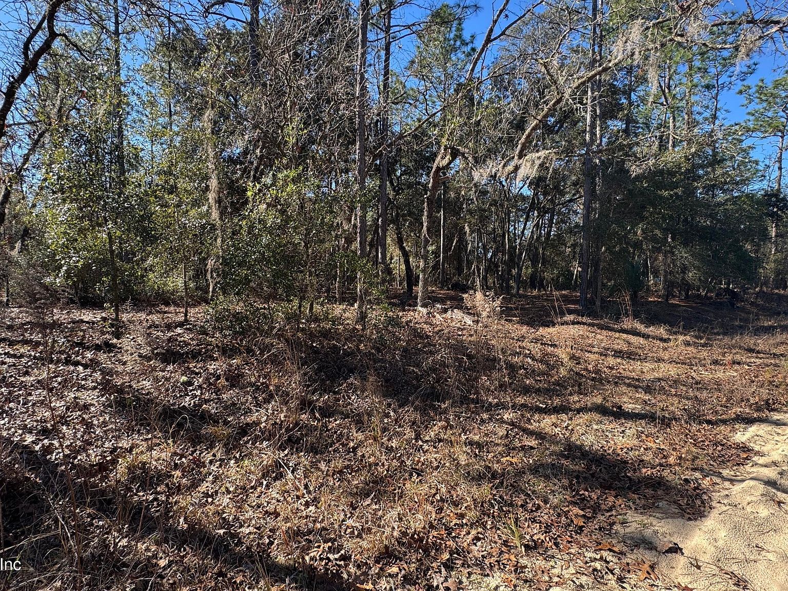 131 Spring Lake Dr Interlachen, FL 32148 - Thumbnail 2