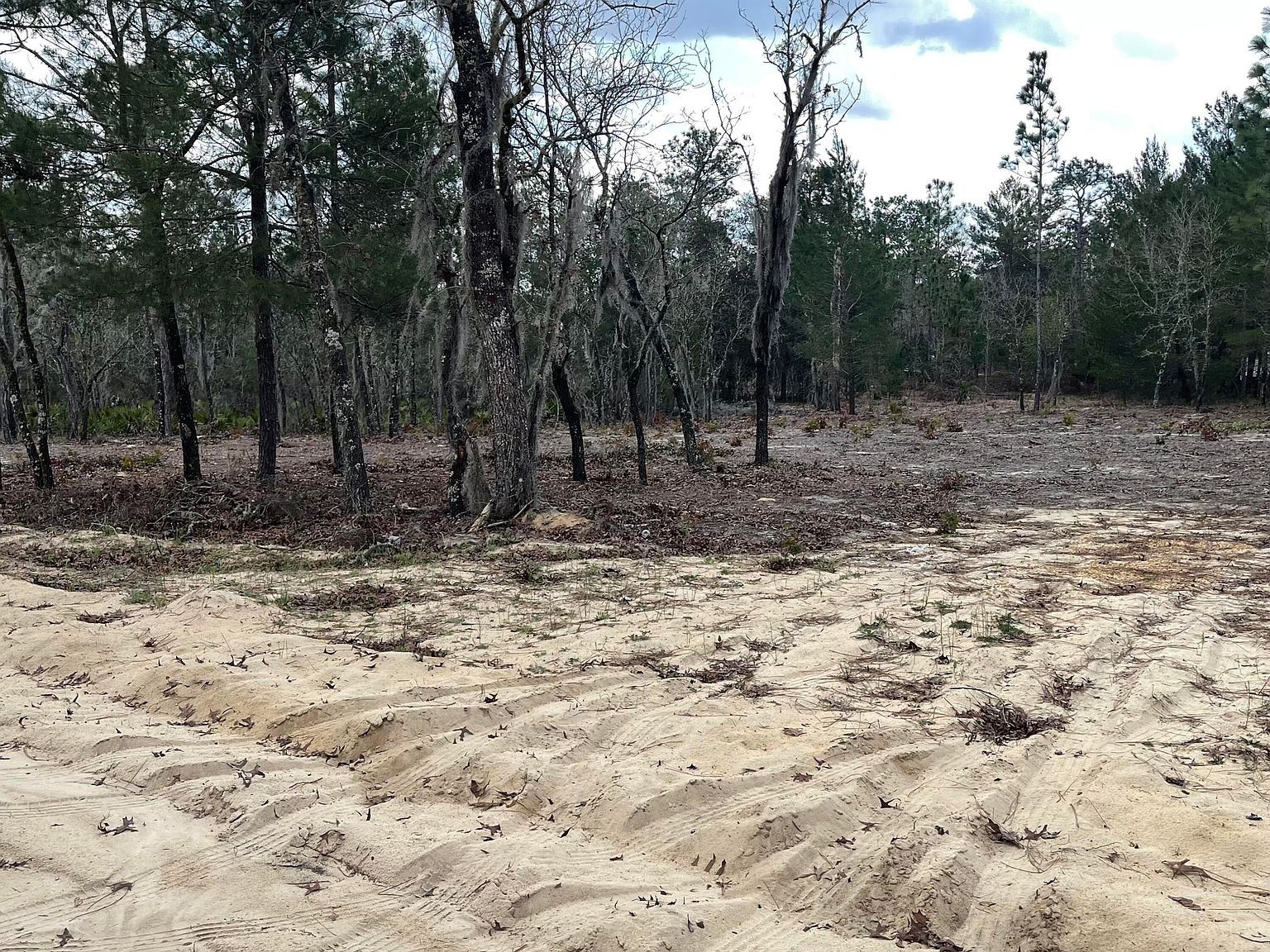 205 London Ave Interlachen, FL 32148 - Thumbnail 2