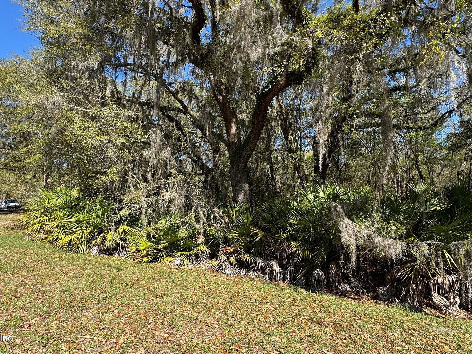 0 Lake Susan Rd Hawthorne, FL 32640 - Thumbnail 2