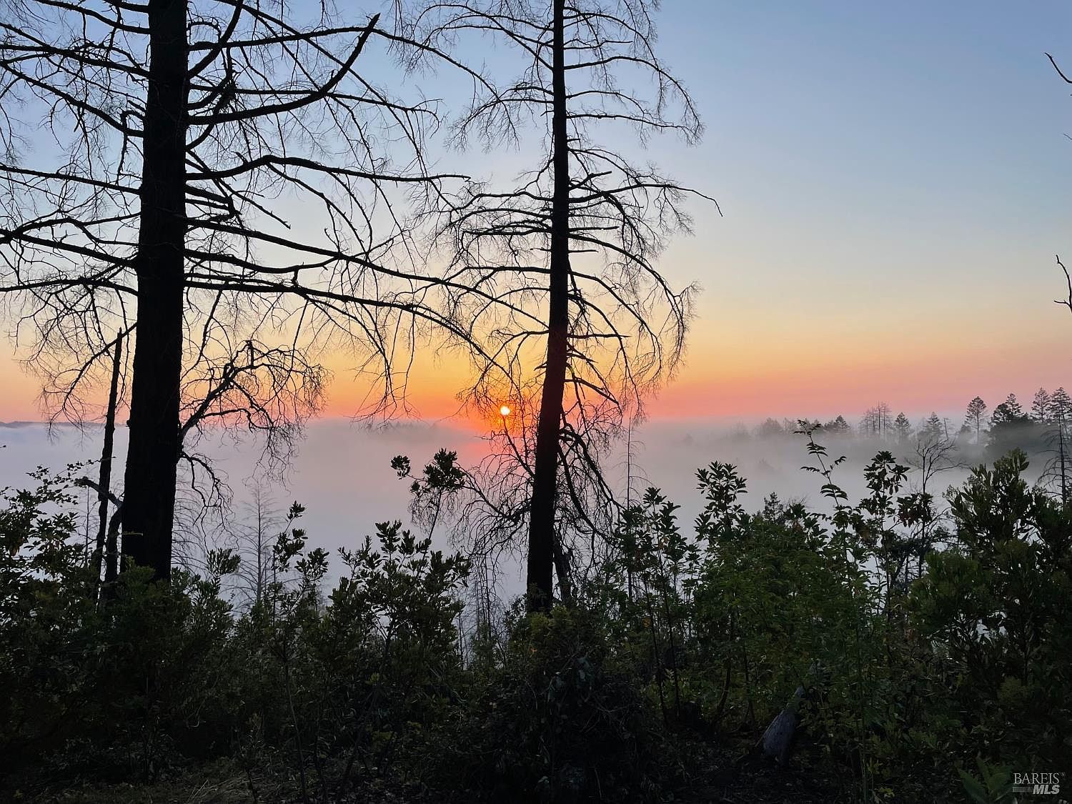 3880 Spring Mountain Rd Saint Helena, CA 94574 - Thumbnail 2