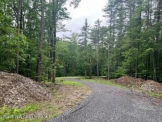 L304 Gale Hill Rd East Chatham, NY 12060  | Land/Lot