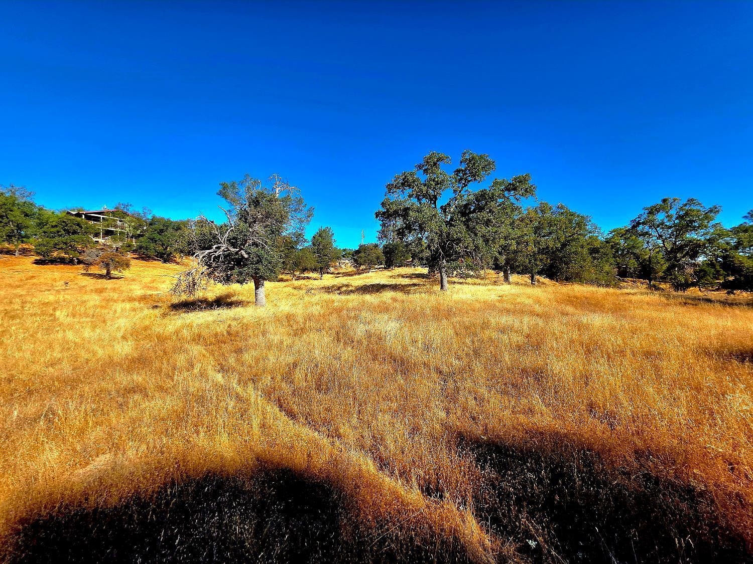 1 Lilley Mountain Dr Coarsegold, CA 93614 - Thumbnail 2