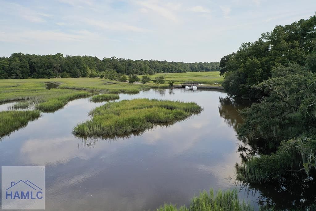 2061 Belle Island Rd Richmond Hill, GA 31324 - Thumbnail 2