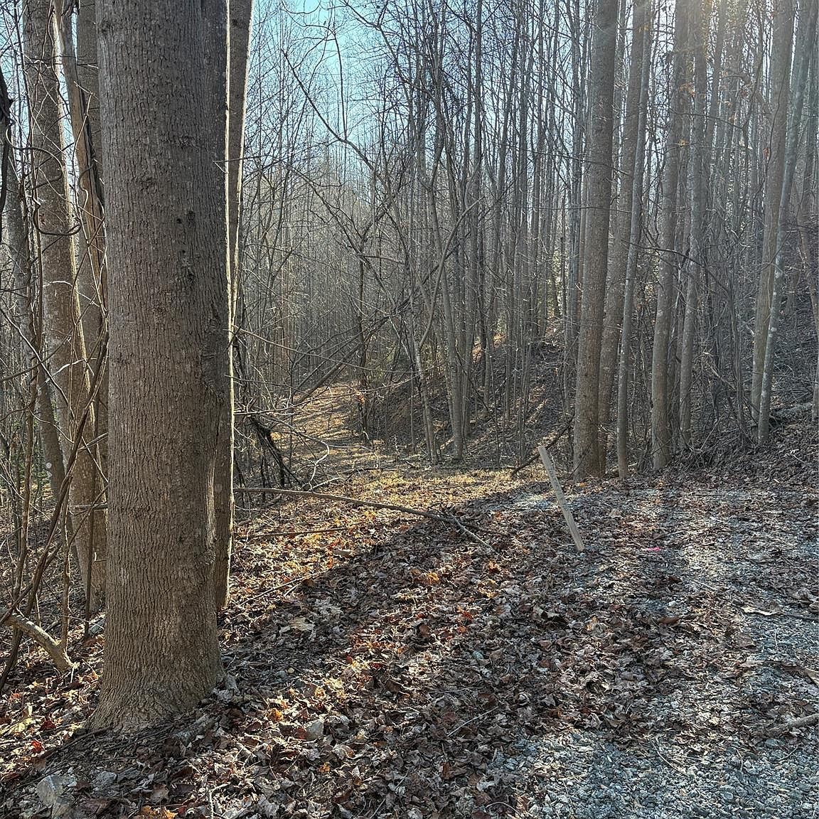 Brindlewood Dr #38V Nebo, NC 28761 - Thumbnail 2