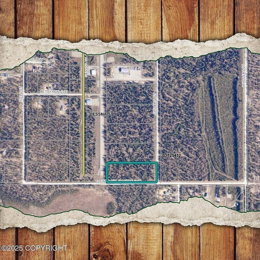 LOT C5A Citabria St Kenai, AK 99611 - Thumbnail 2