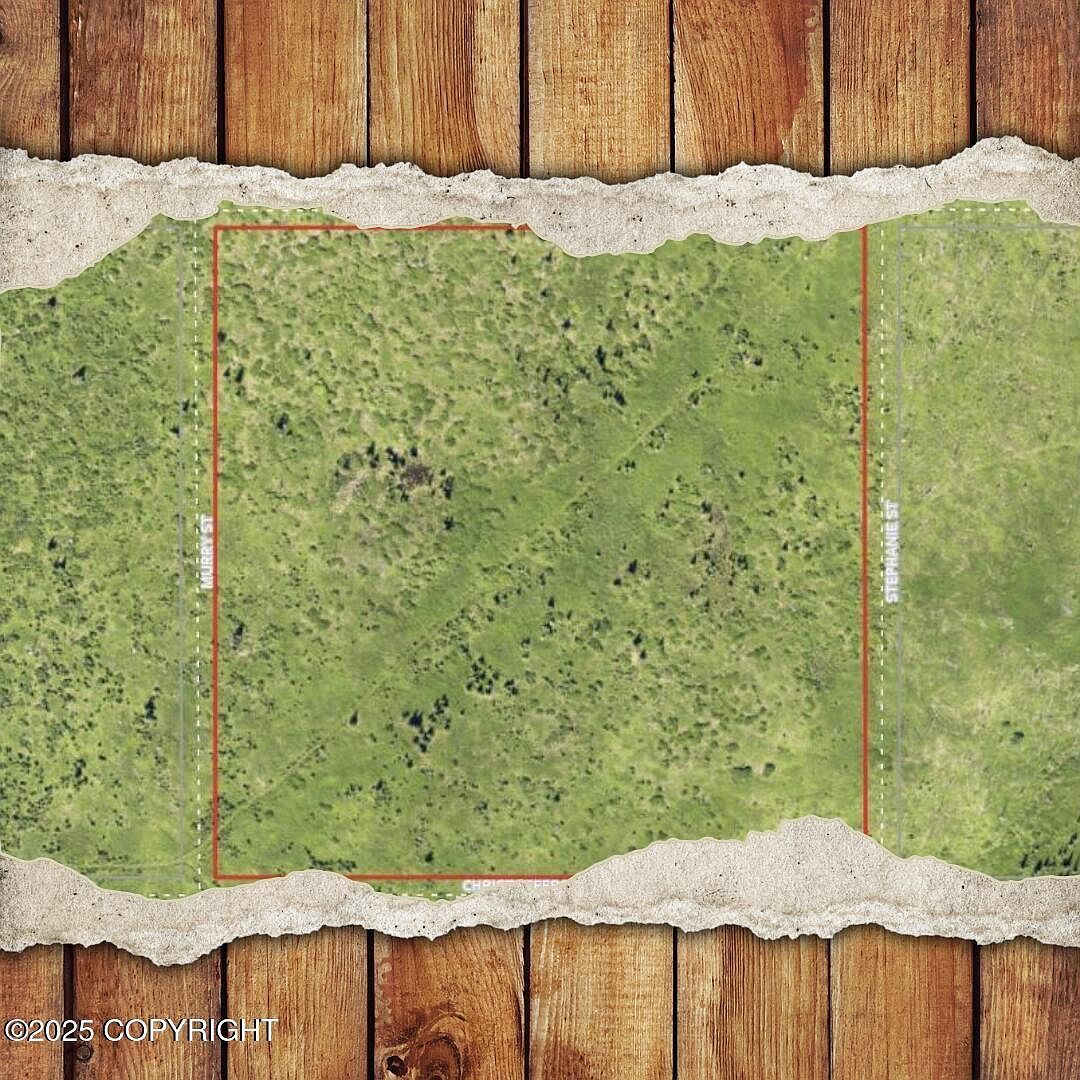 54490 Christofferson Ave Ninilchik, AK 99639 - Thumbnail 2