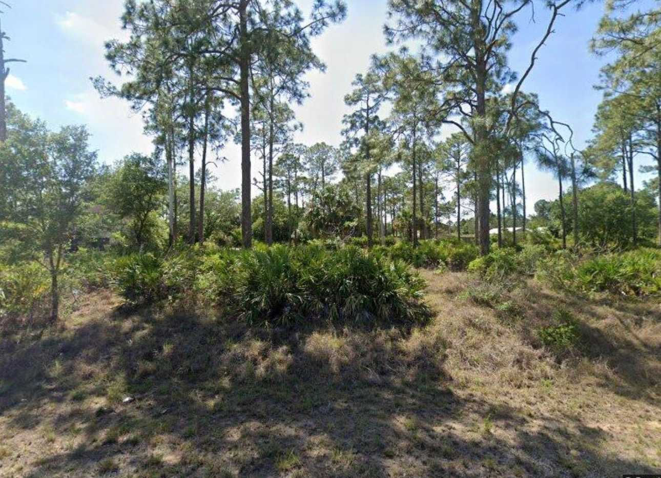 1505 Poinsettia Ave, Lehigh Acres, FL, USA, 33972  | Land/Lot
