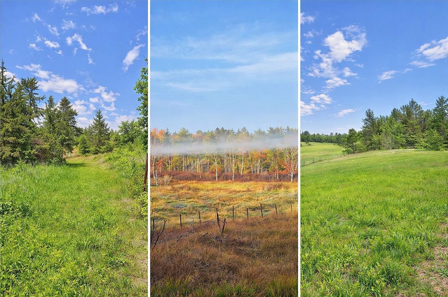 County Road 134 Pine River, MN 56474  | Land/Lot