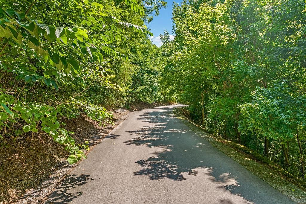 2 Shoreside Dr Smithville, TN 37166 - Thumbnail 2