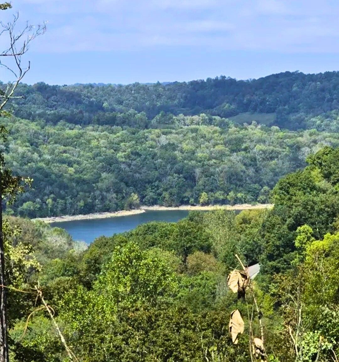 0 Lola Dr Lot 237 Smithville, TN 37166  | Land/Lot