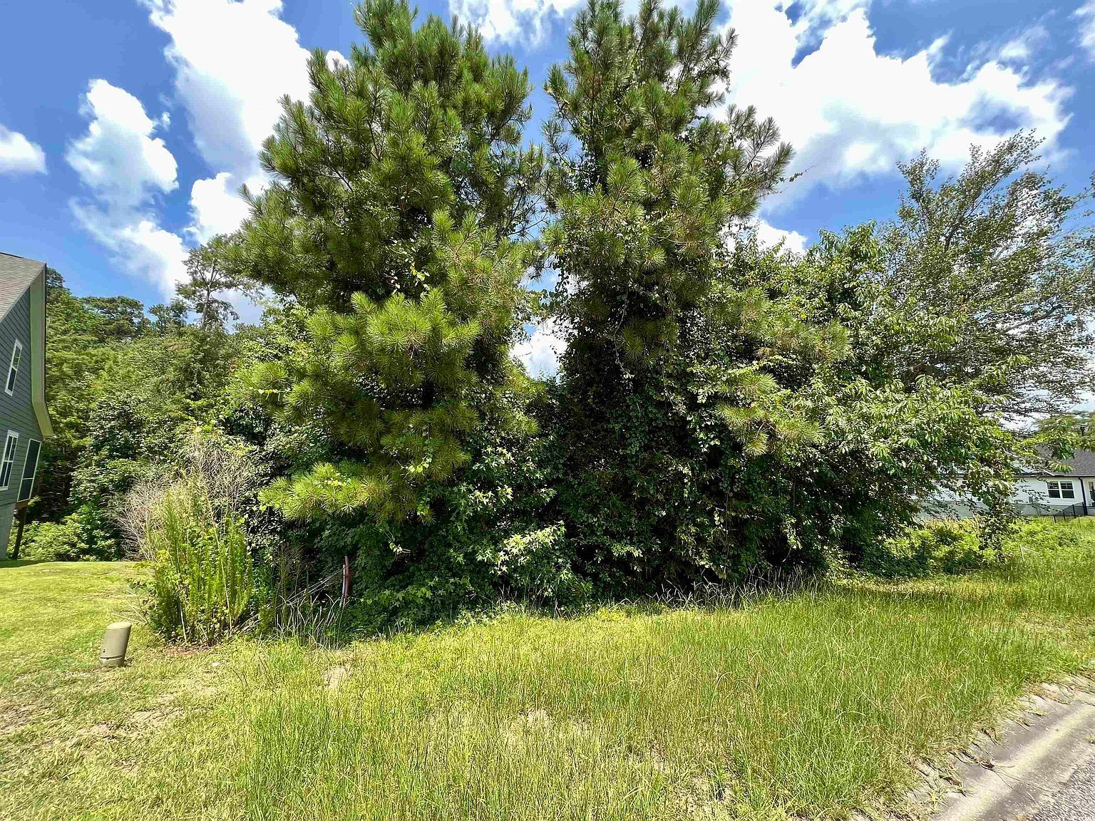 286 Rivers Edge Dr Conway, SC 29526 - Thumbnail 2