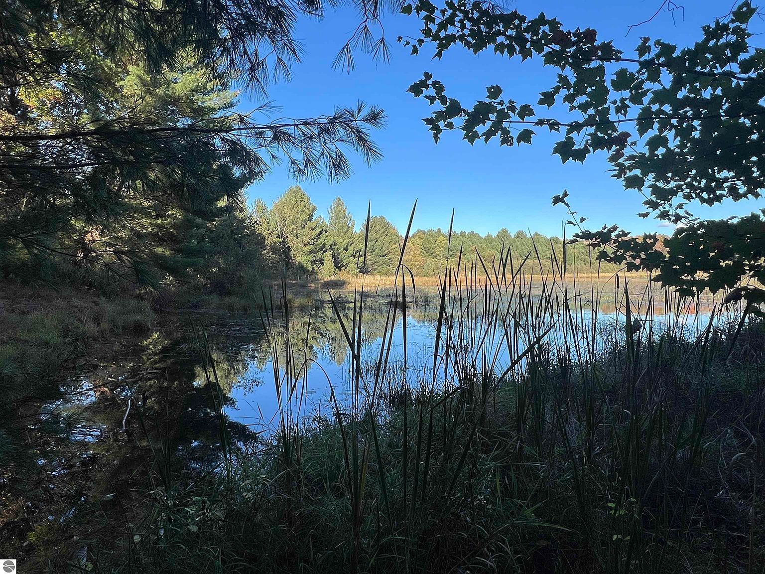 7556 210th Ave Reed City, MI 49677 - Thumbnail 2