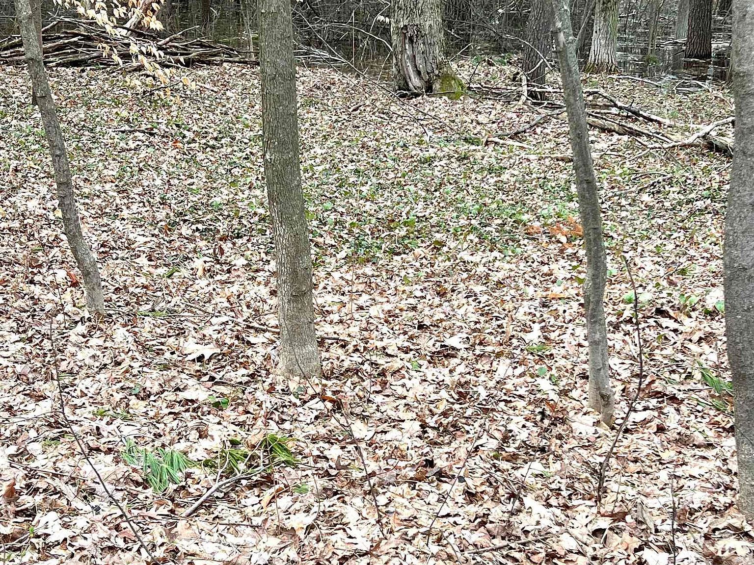 0 Kenwood Rd Cadillac, MI 49601  | Land/Lot