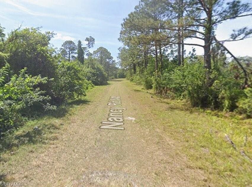 429 Nancy Rd NW Lake Placid, FL 33852 - Thumbnail 2