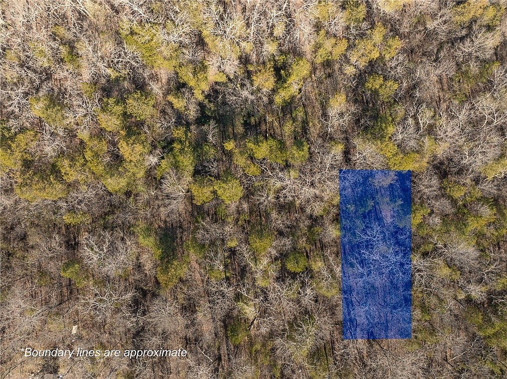 62 E Fawn St Lead Hill, AR 72644 - Thumbnail 2