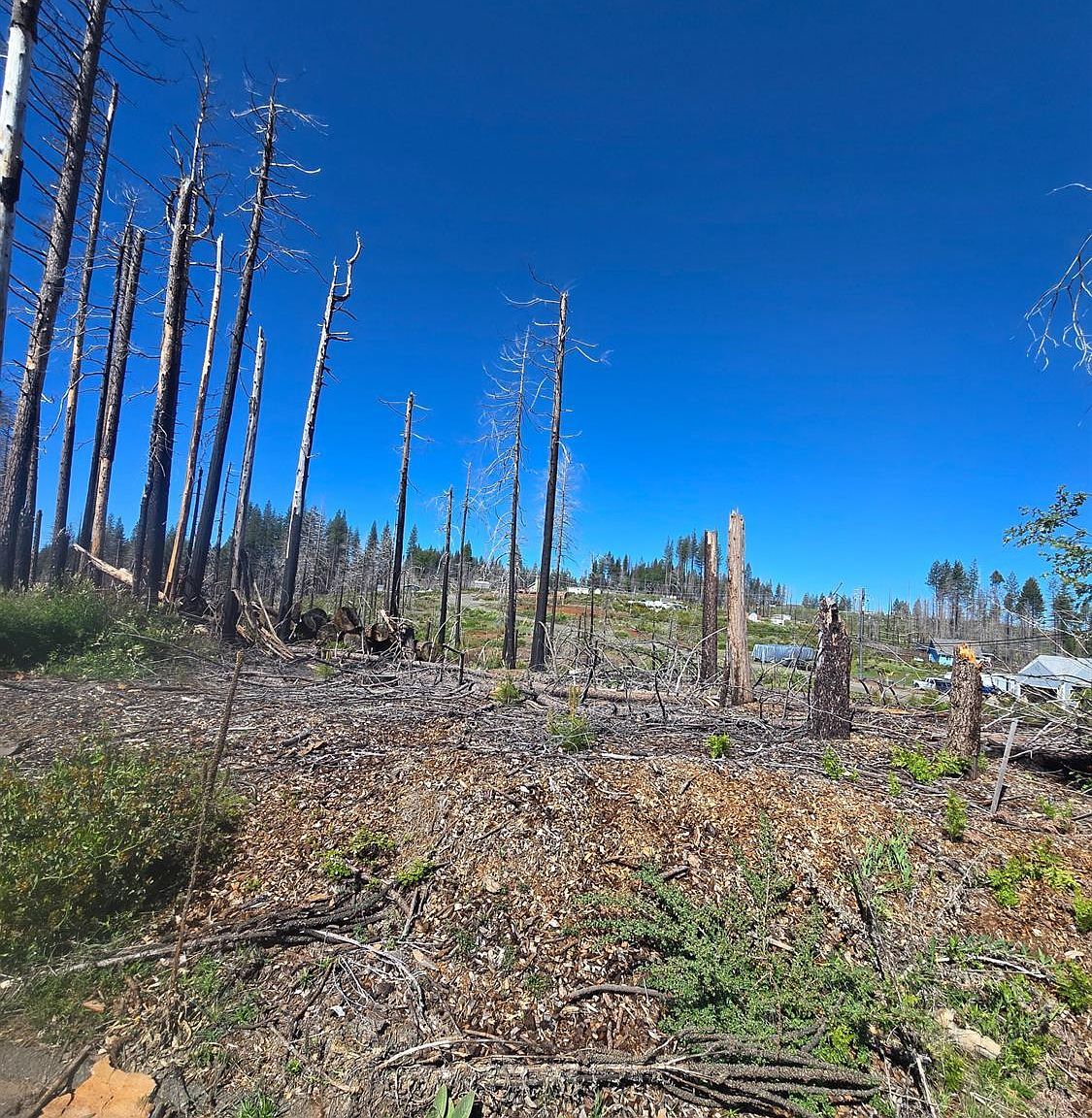 Golden Aspen Dr Grizzly Flats, CA 95636  | Land/Lot