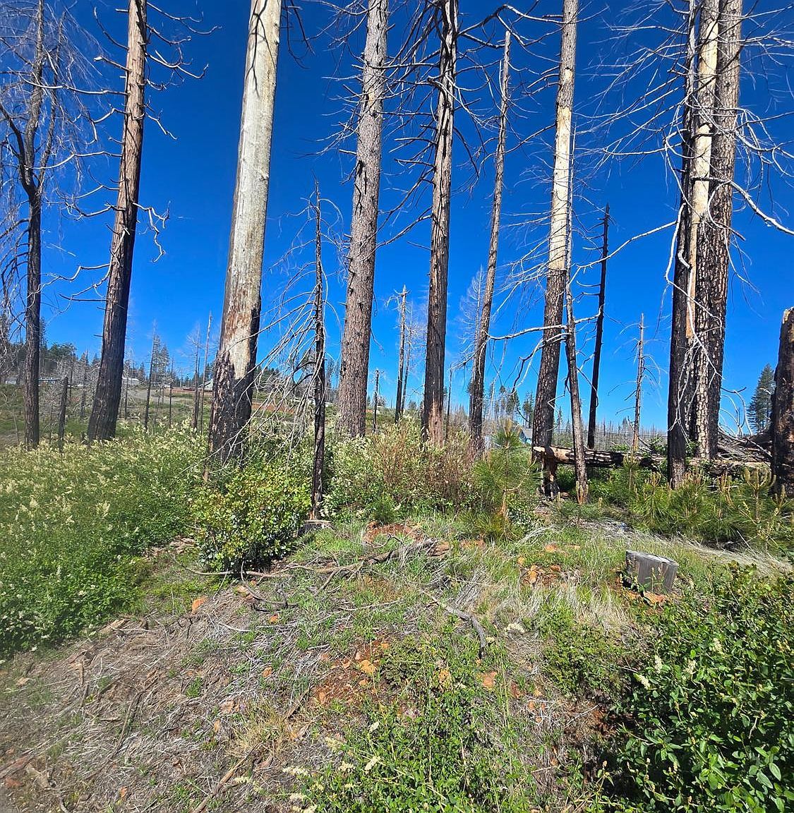 5217 Golden Aspen Ct Grizzly Flats, CA 95636  | Land/Lot