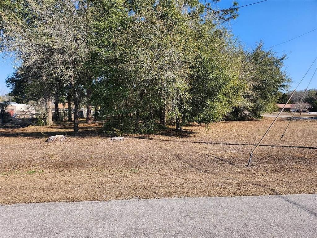 SE 97th Ter Lot 2 Summerfield, FL 34491 - Thumbnail 2