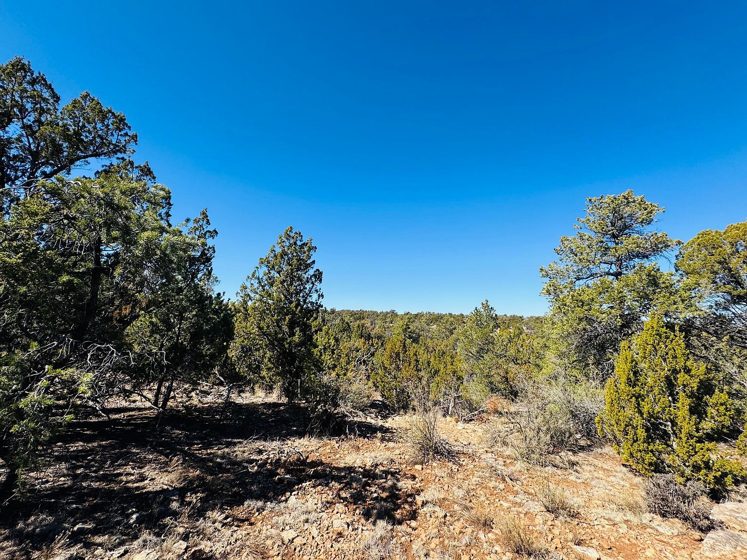 4108 Sunset Ridge Loop Happy Jack, AZ 86024 - Thumbnail 2