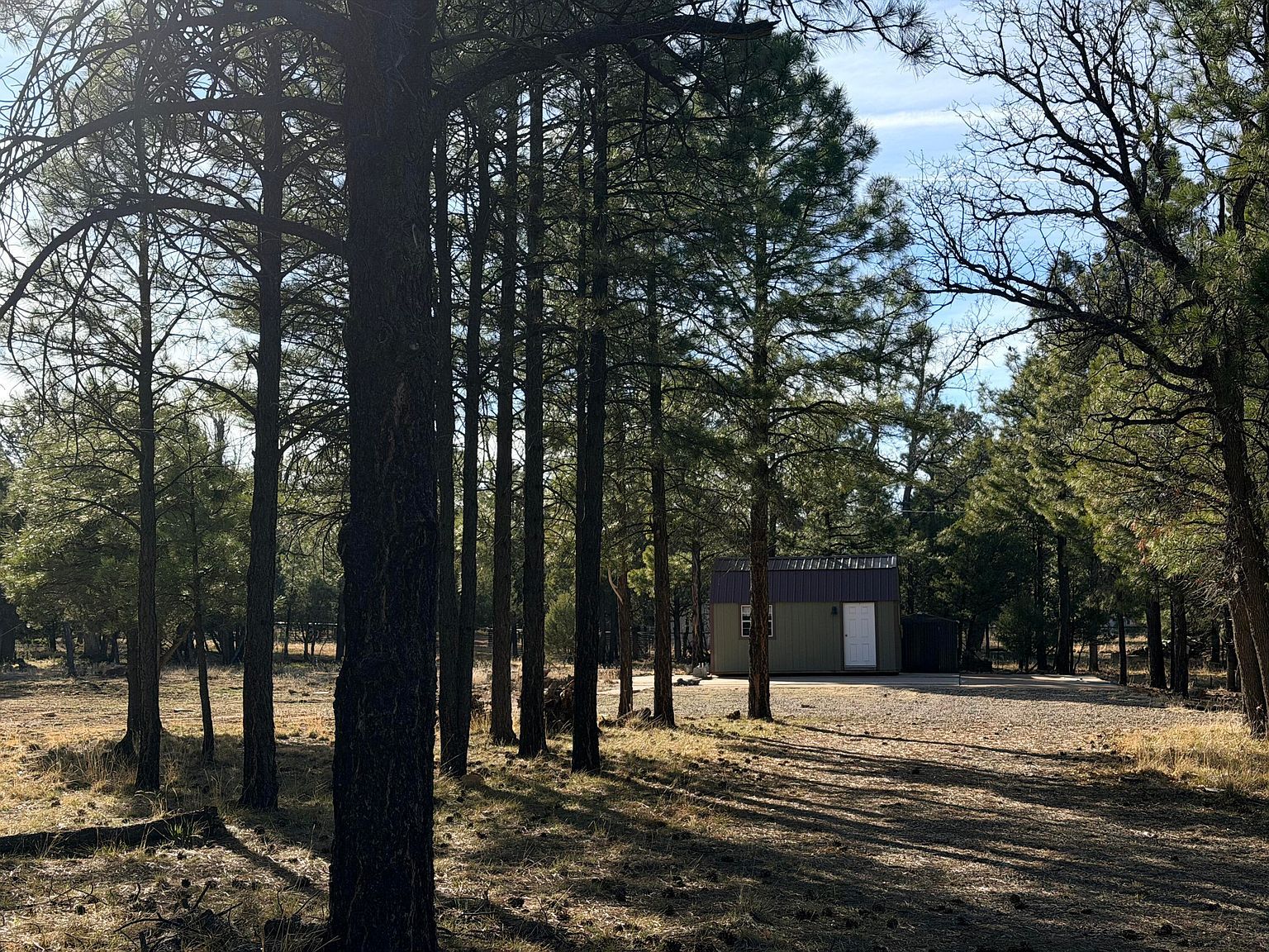 1306 Green Top Dr Happy Jack, AZ 86024 - Thumbnail 2