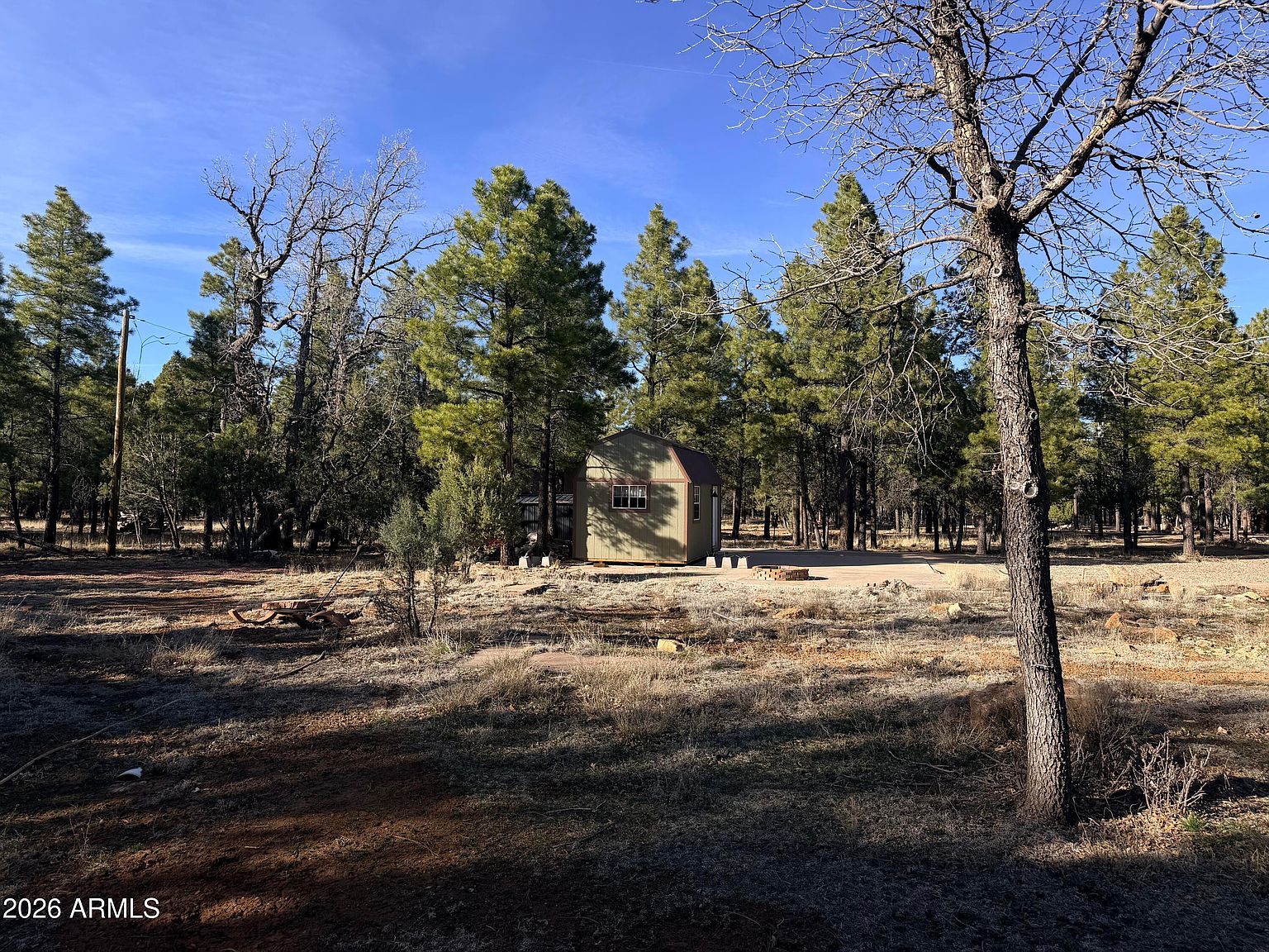 1306 Green Top Dr #40 Happy Jack, AZ 86024 - Thumbnail 2