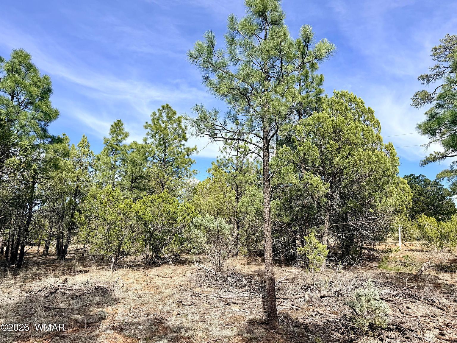 2588 Spoonbill Dr Happy Jack, AZ 86024, 86024