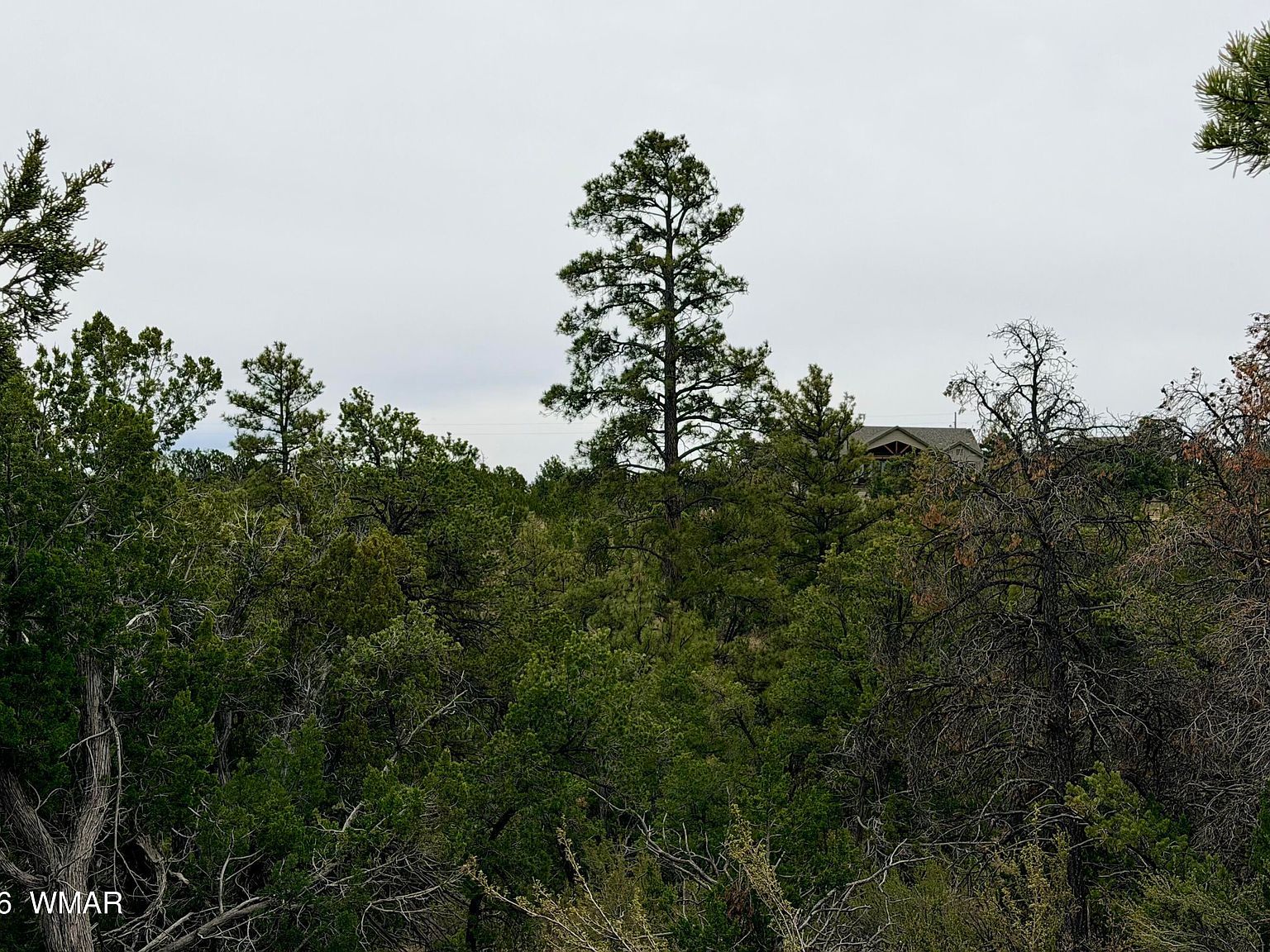 4918 Sunset Ridge Loop Happy Jack, AZ 86024, 86024