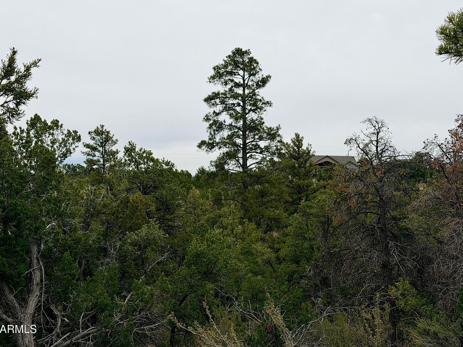 4918 Sunset Ridge Loop Lot 199 Happy Jack, AZ 86024, 86024